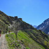 Горный лагерь в Цейском ущелье Северная Осетия фото 8