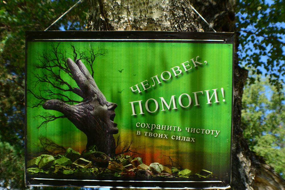 Плакат на дереве в лесах Архыза