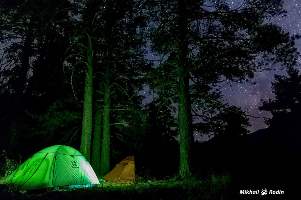 Палатка ночь звезды лес