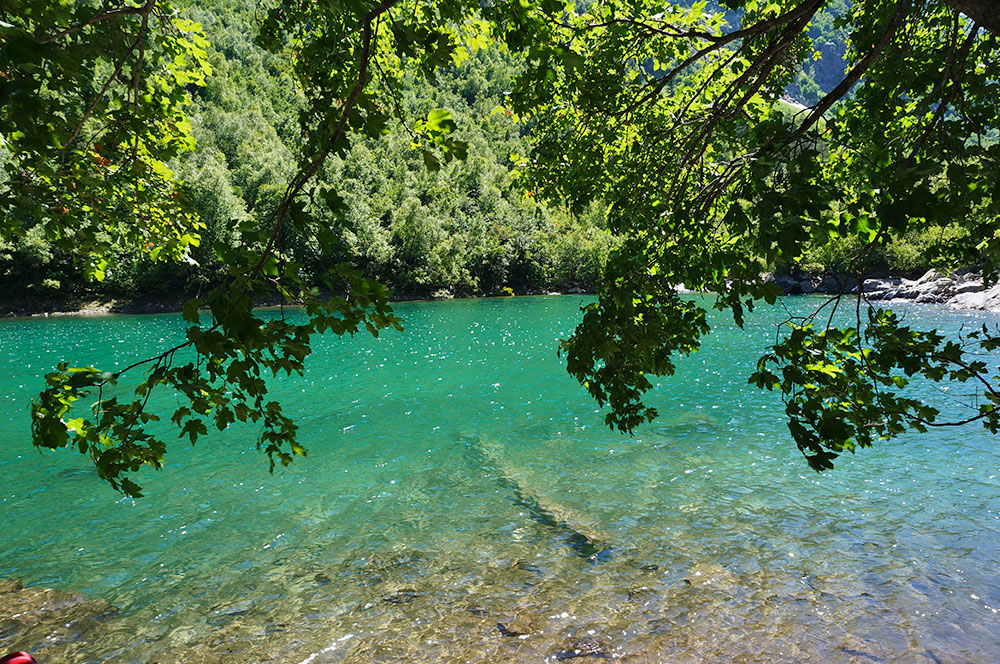 Домбай Бадукские озера деревья