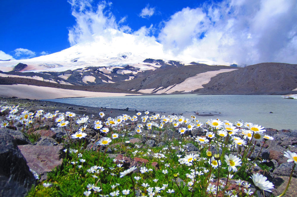 Джилы-Су цветы озер Джикаульгенкёз