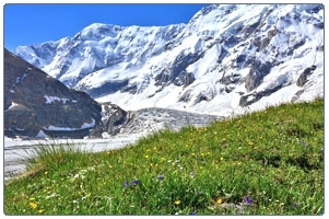 Экотропа Безенгийский ледник фотография