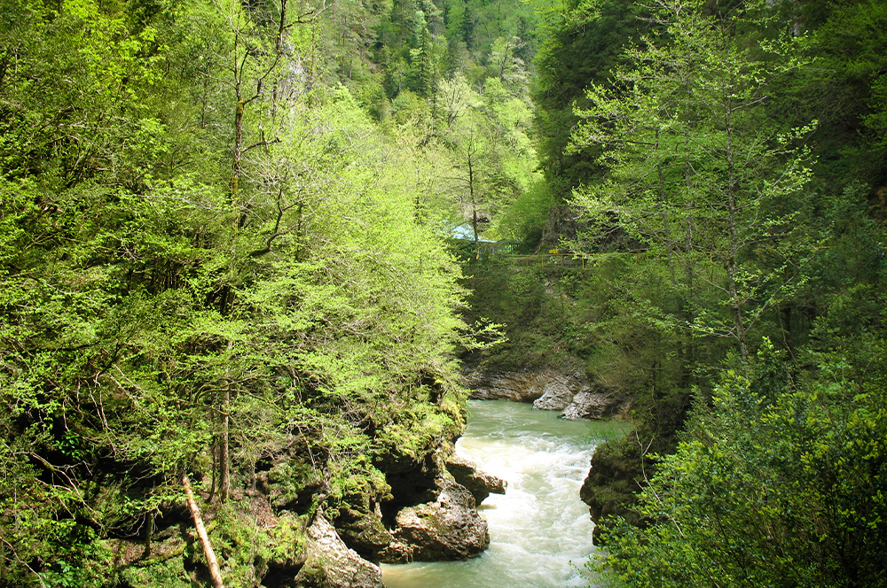 Река Курджипс зеленый цвет