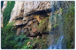 Пальмовый водопад: путешествие в мир красоты 