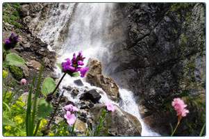 Водопад Байради фотография