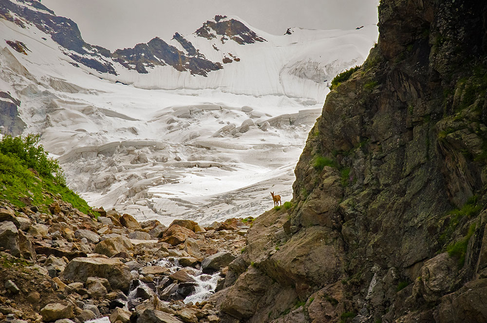 Кавказ ледник фото
