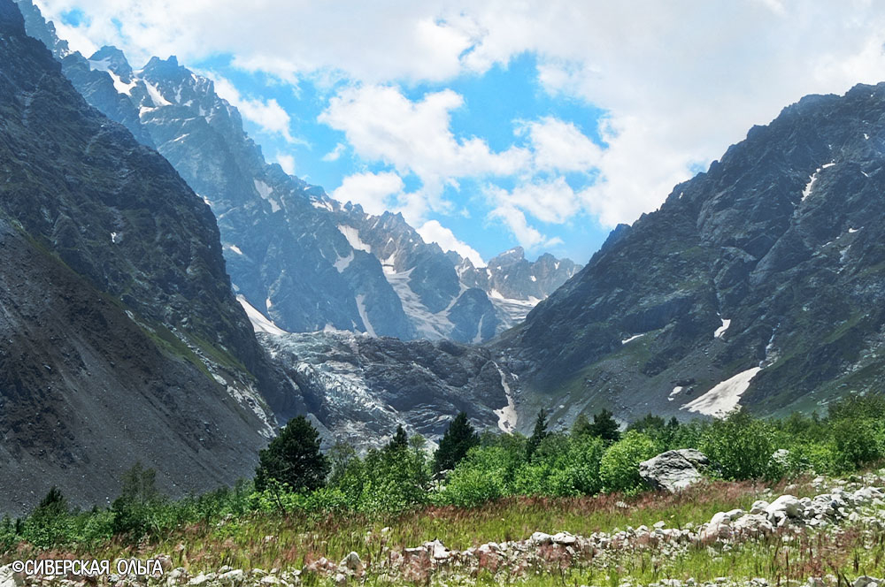 Северная Осетия Цейское ущелье горы лес альпика