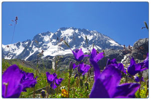 Гора Уллу-Тау поляна желаний фотография