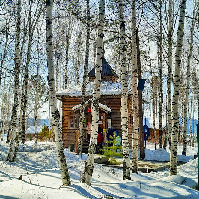 Зима березы снег деревянный дом