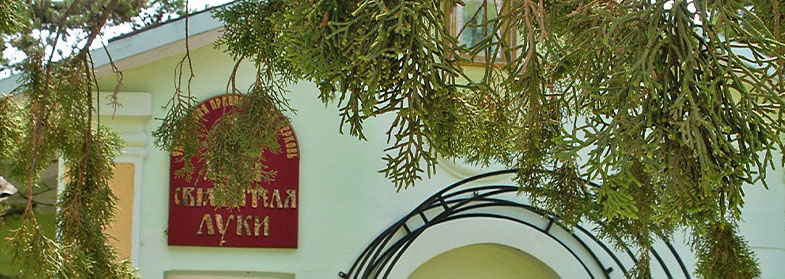 Новый Свет церковь Луки архиепископа Крымского