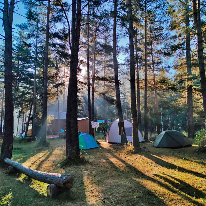 Архыз Лесной кот палаточный лагерь