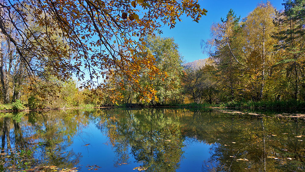 Озеро Домбай осень фотография