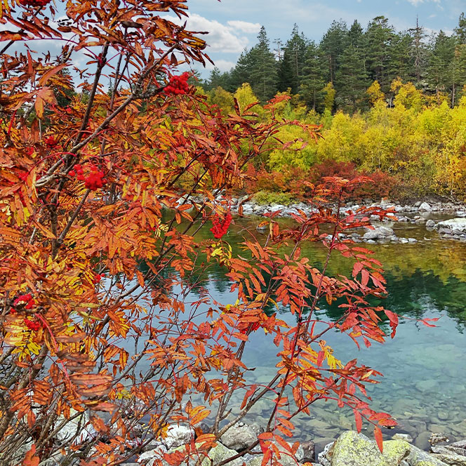Кавказ осень озеро красные листья
