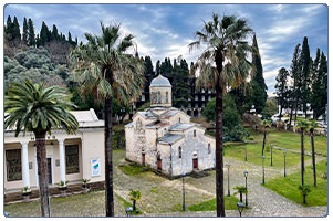 Абхазия храм пальмы