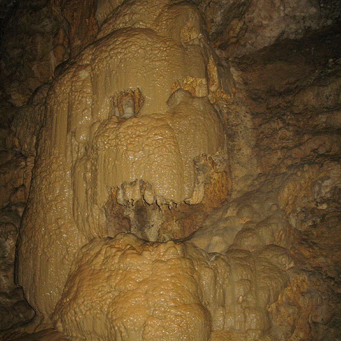 Новоафонская пещера хозяин