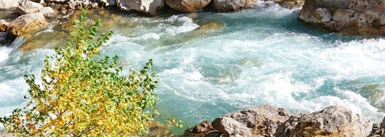 Река Асса фото