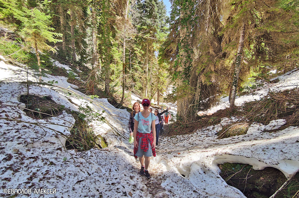 Туристы лес треккинг снег