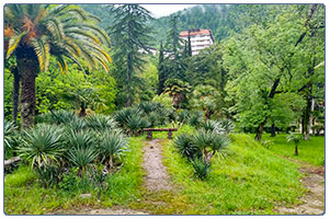 Парк Абхазия фотография