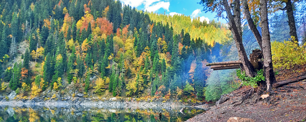Абхазия озеро Рица осень
