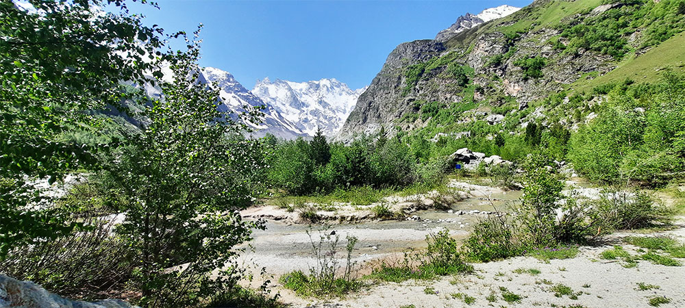 Улыбка Шхельды фотография