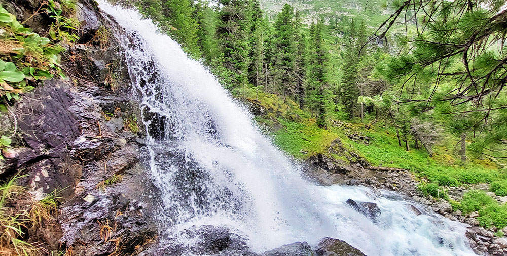 Алтай Поперечный водопад кедры