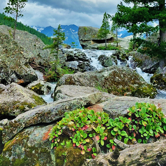Алтай водопад Шумы фотография