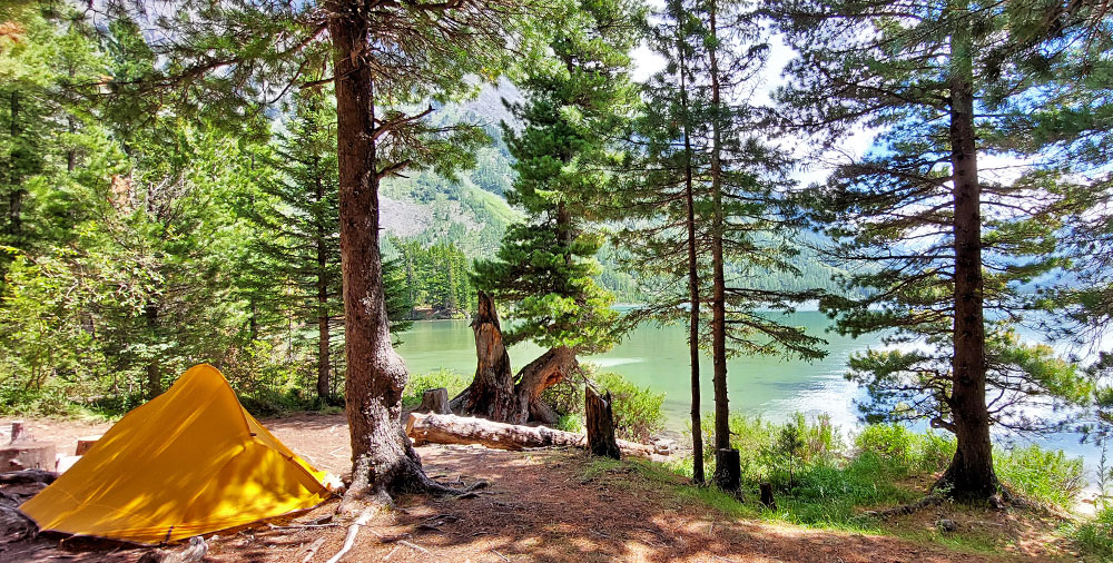 Желтая палатка лес
