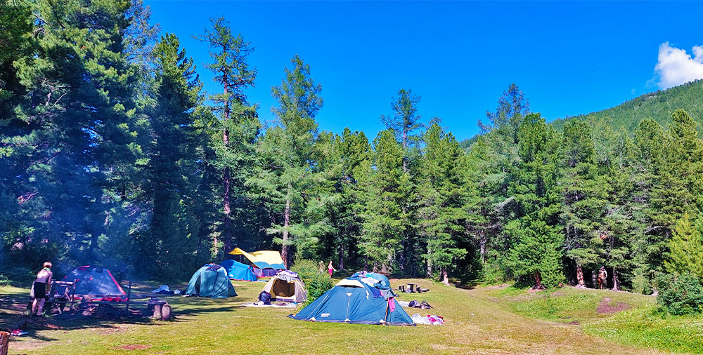 Алтай палаточный лагерь фото