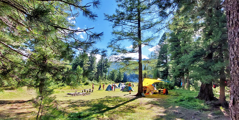 Алтай палаточный лагерь Мульта
