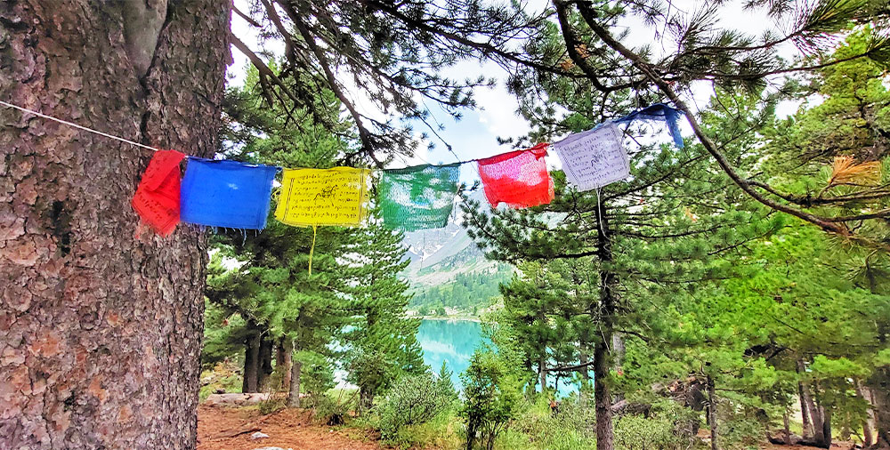 Алтай дерево буддистские разноцветные платки