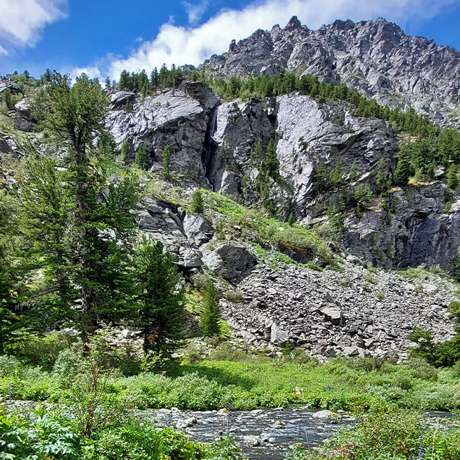 Алтай ущелье Куйгук горы лето