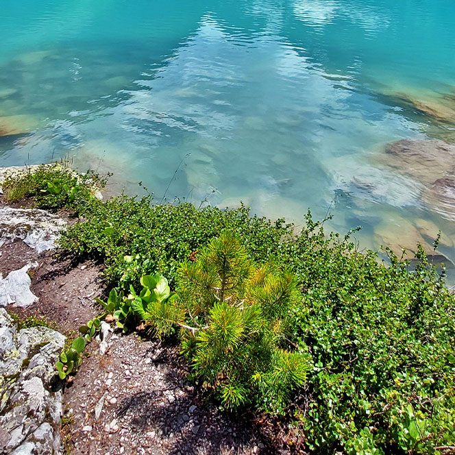 Алтай озеро Куйгук цвет воды глубина