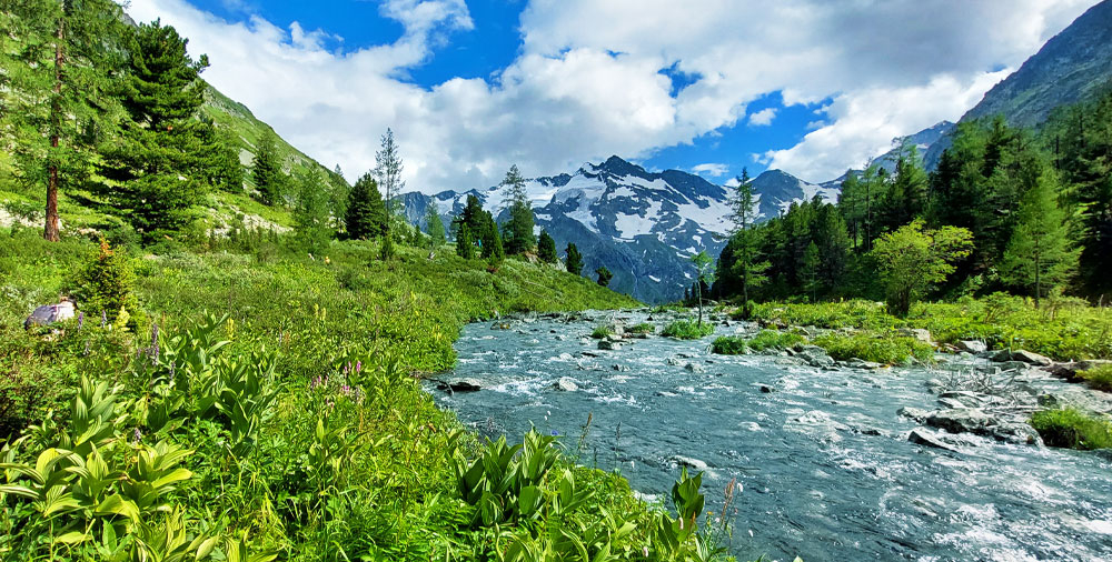 Алтай река Поперечная горы альпийские луга