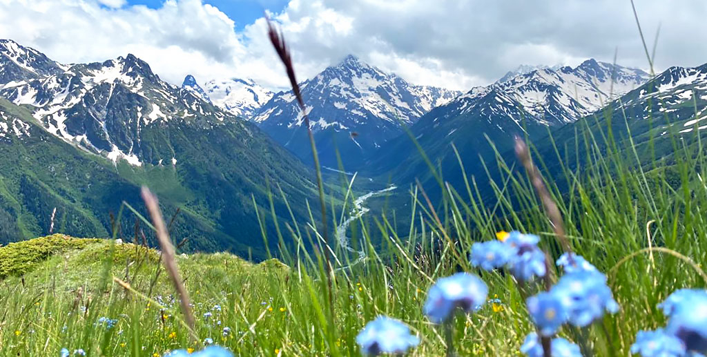Кавказ небо горы цветы