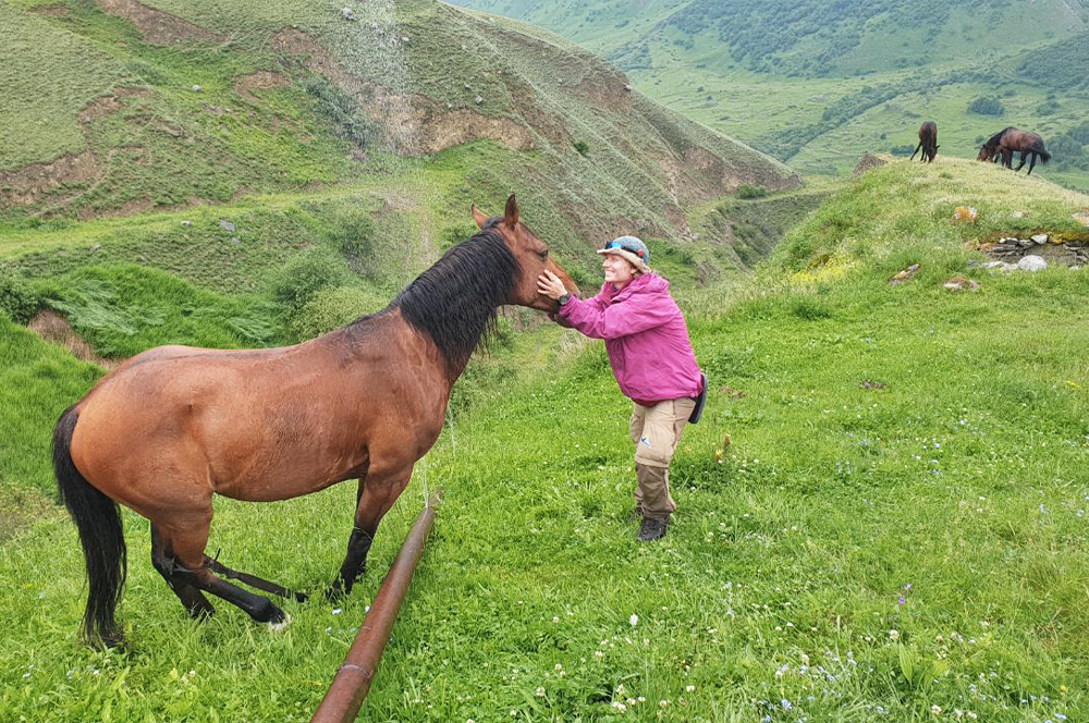 Лошадка турист горы