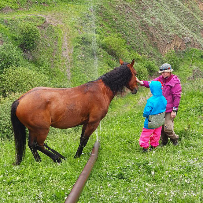 Лошадь ребенок гладить