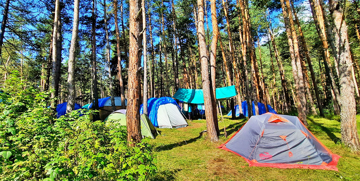 Аксаут лагерь Эдельвейс палатки