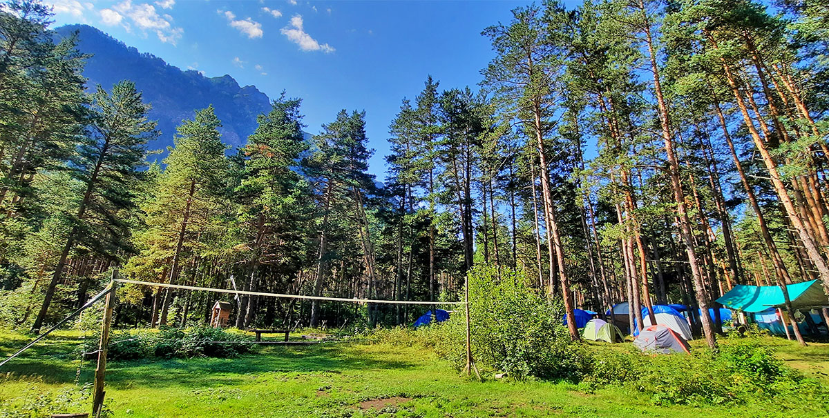 Лес волейбол палатки