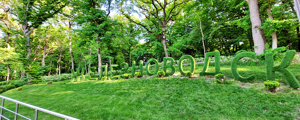 Зеленые буквы Железноводск