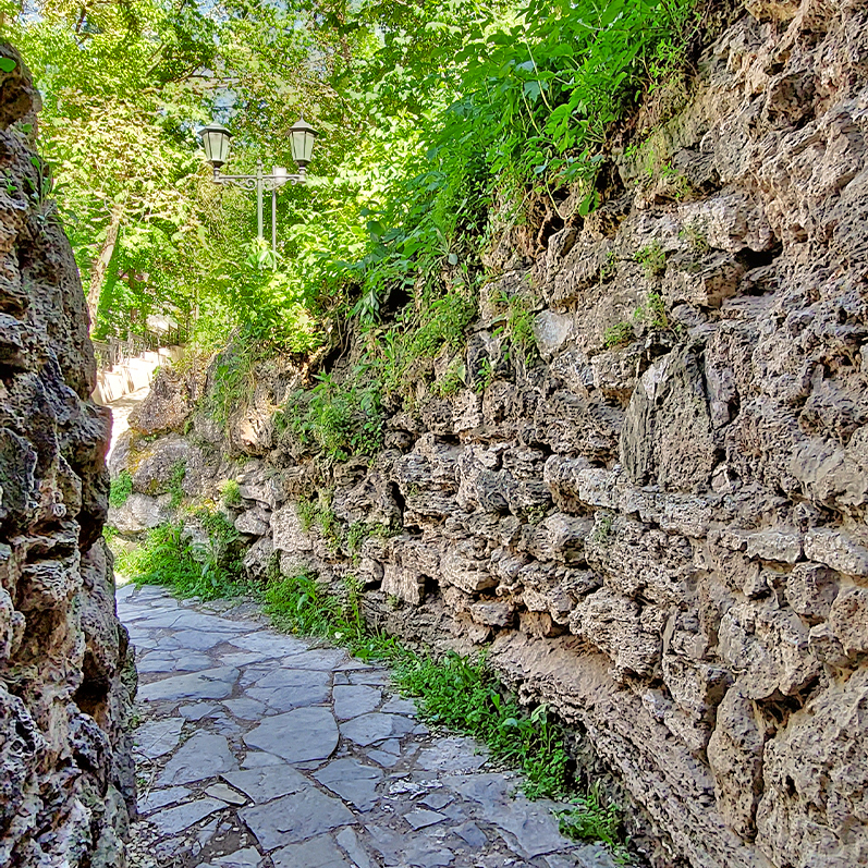 Каменная стена зелень