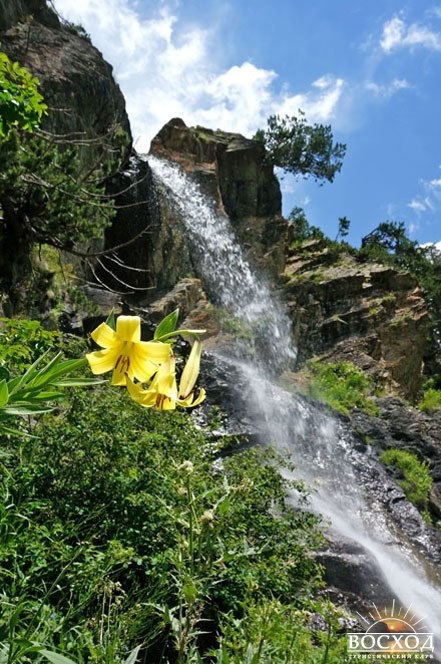 Архыз. Баритовый водопад. Лилия на фоне водопада