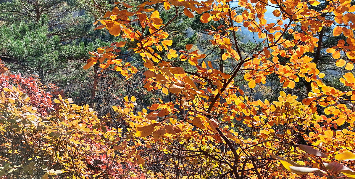 Весна Кавминводы