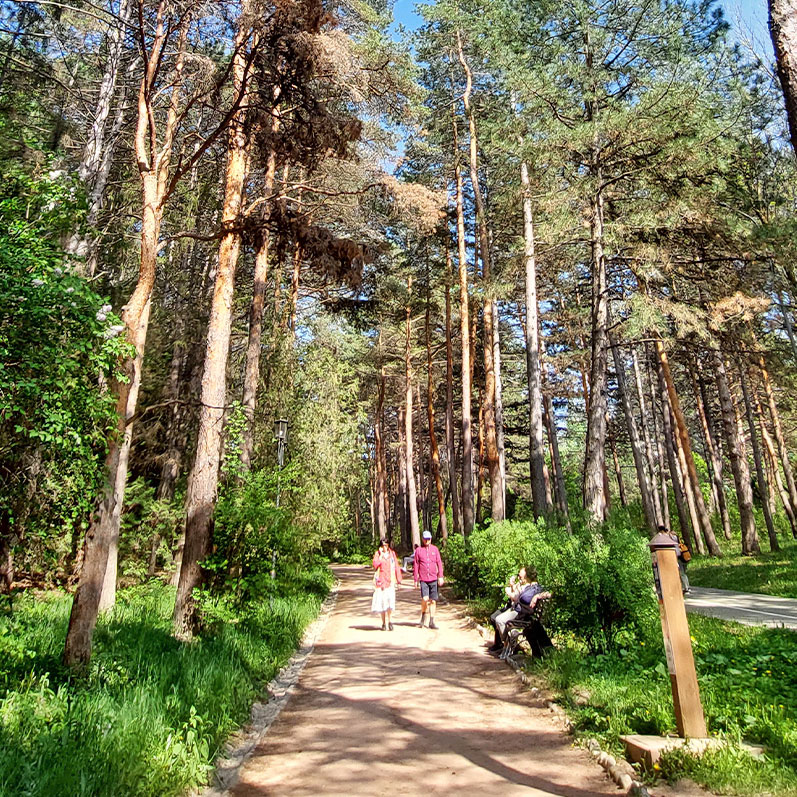 Кисловодск парк терренкур прогулка