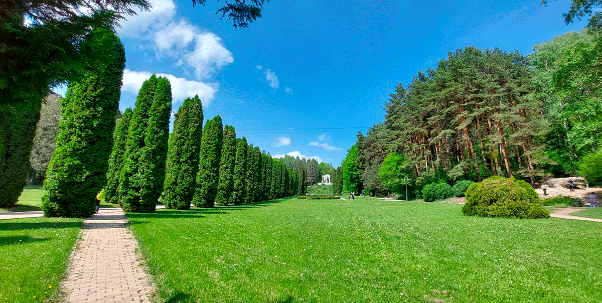 Кисловодский парк долина роз кипарисы