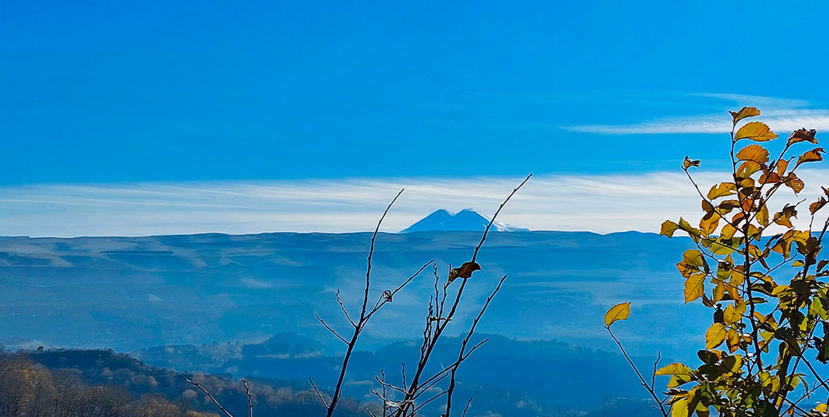 Парк Кисловодск Эльбрус фото