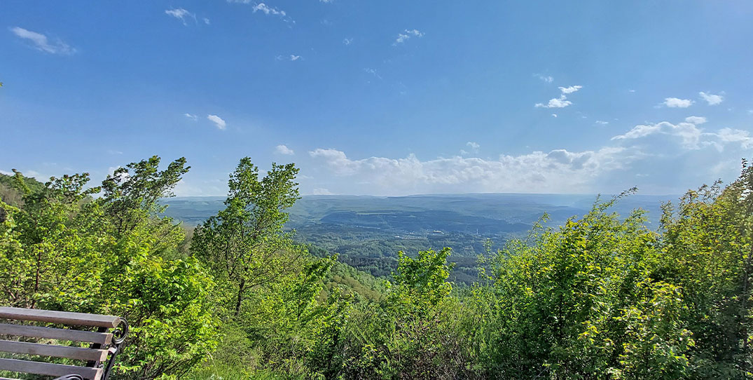 Кавминводы деревья горы