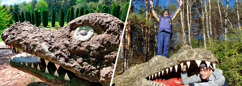 Крокодил зубастый Кисловодск