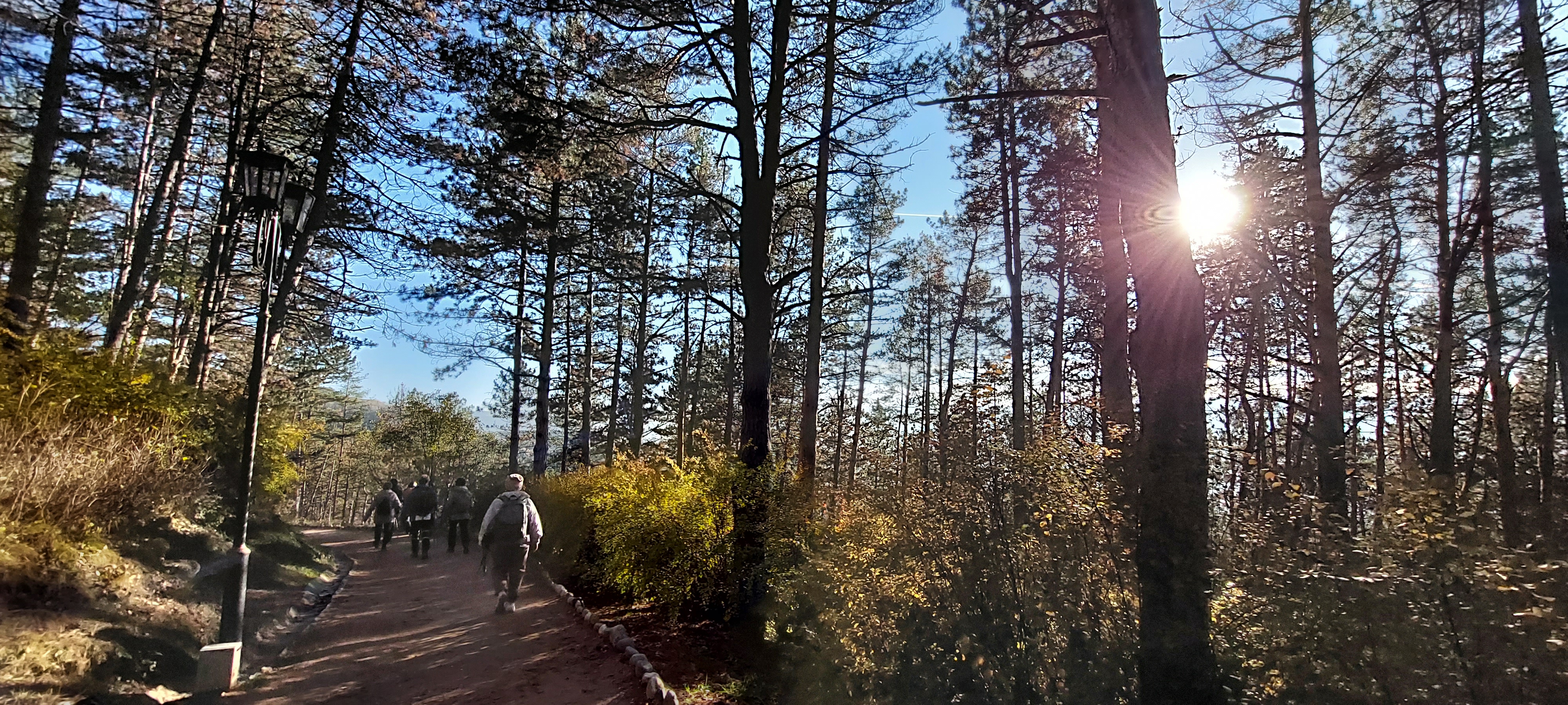 Осенний лес