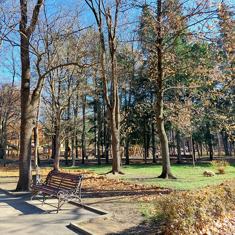 Кисловодск терренкур осень