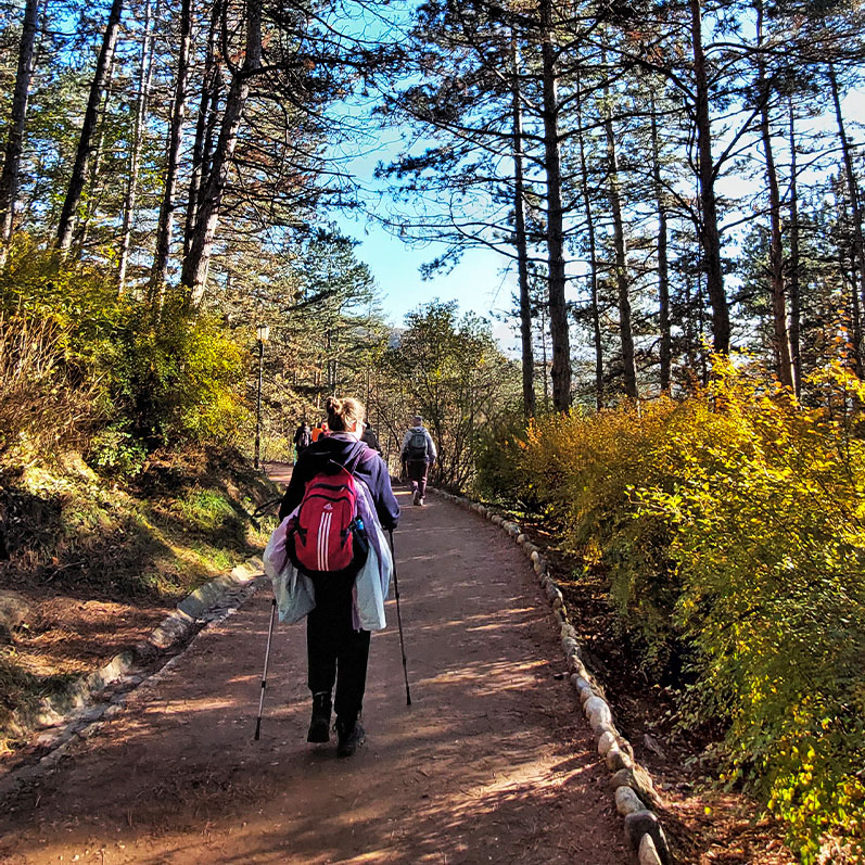 Пройдемся? Кисловодск экотропа терренкур